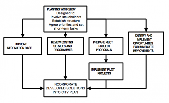 TAYLER et al 2000 Steps in Developing Solutions